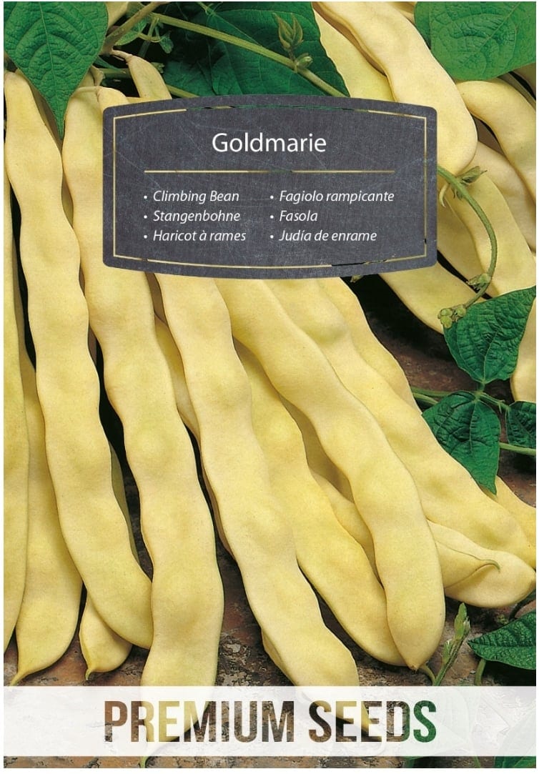 Lattuba "Goldmarie"
