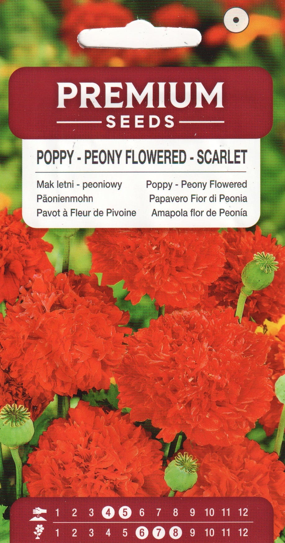 Pojengiõieline unimagun "Scarlet"
