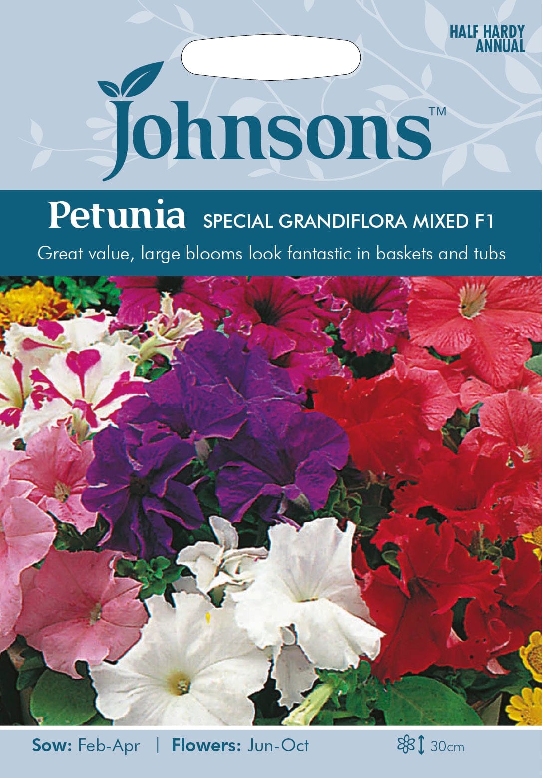 Petuunia "Special Grandiflora Mixed" F1