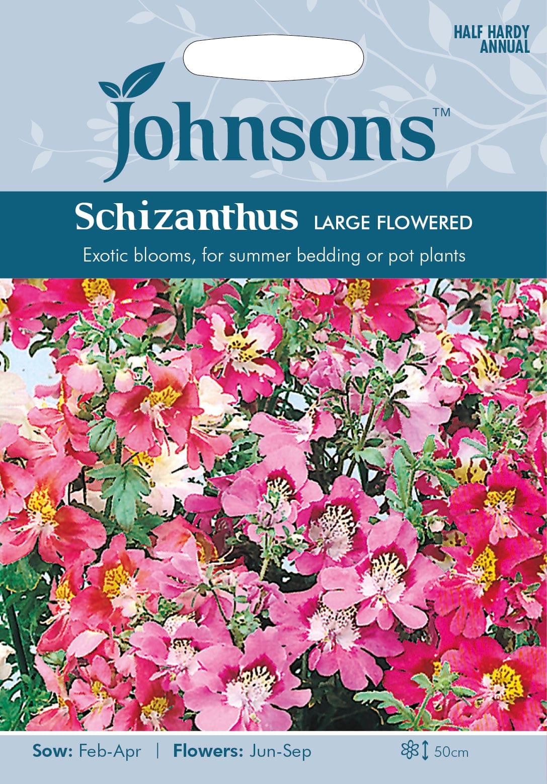 Püramiidjas libliklill "Large Flowered"