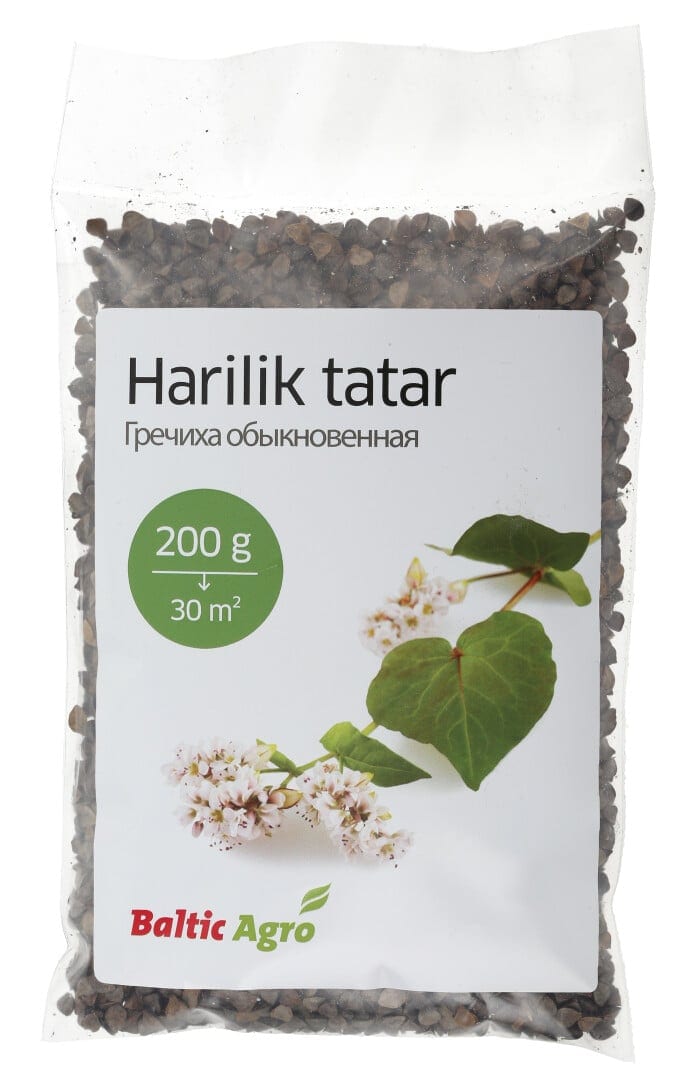 Harilik tatar "Aiva" 200 grammi