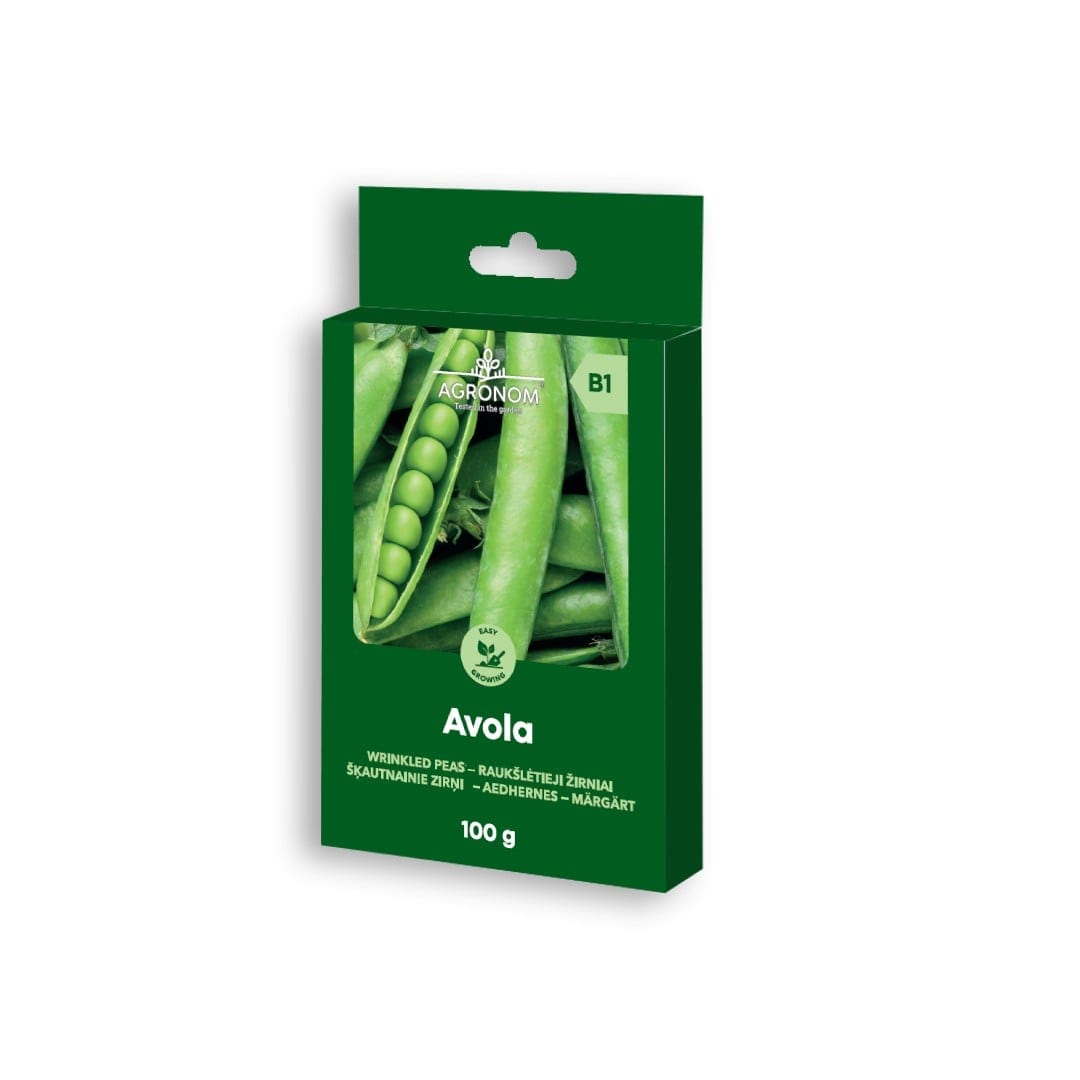 Aedhernes "Avola" 100 grammi