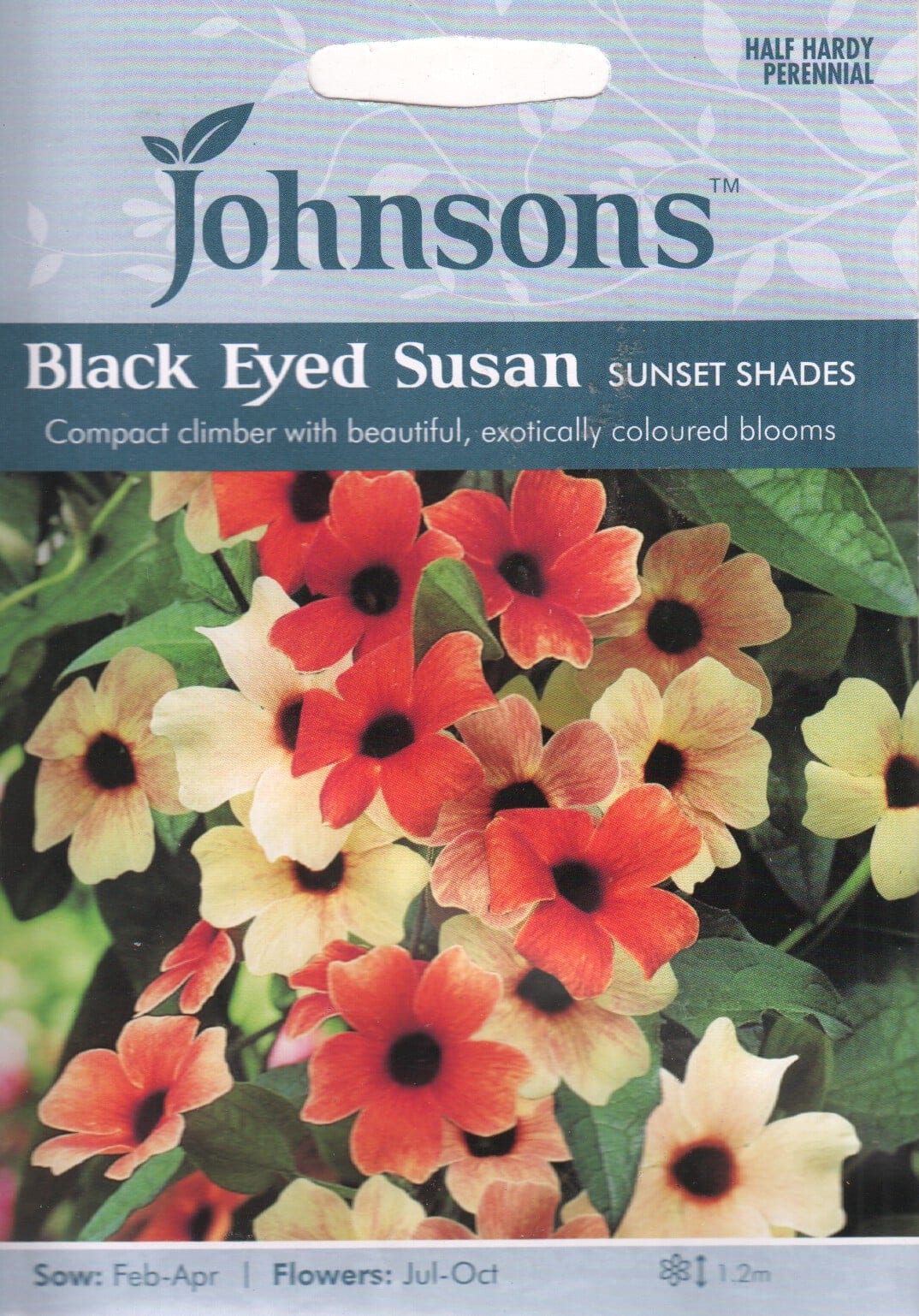 Tiivuline tunbergia "Sunset Shades"