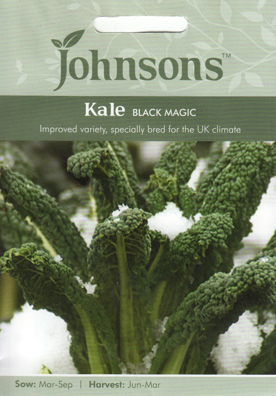 Kähar lehtkapsas "Black Magic"