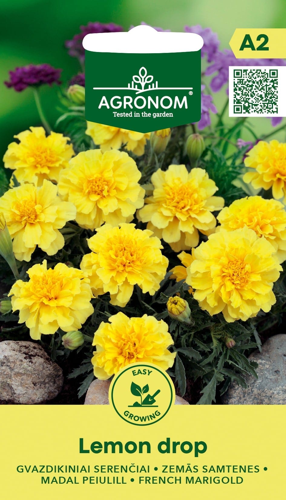 Peiulill "Lemon Drop"