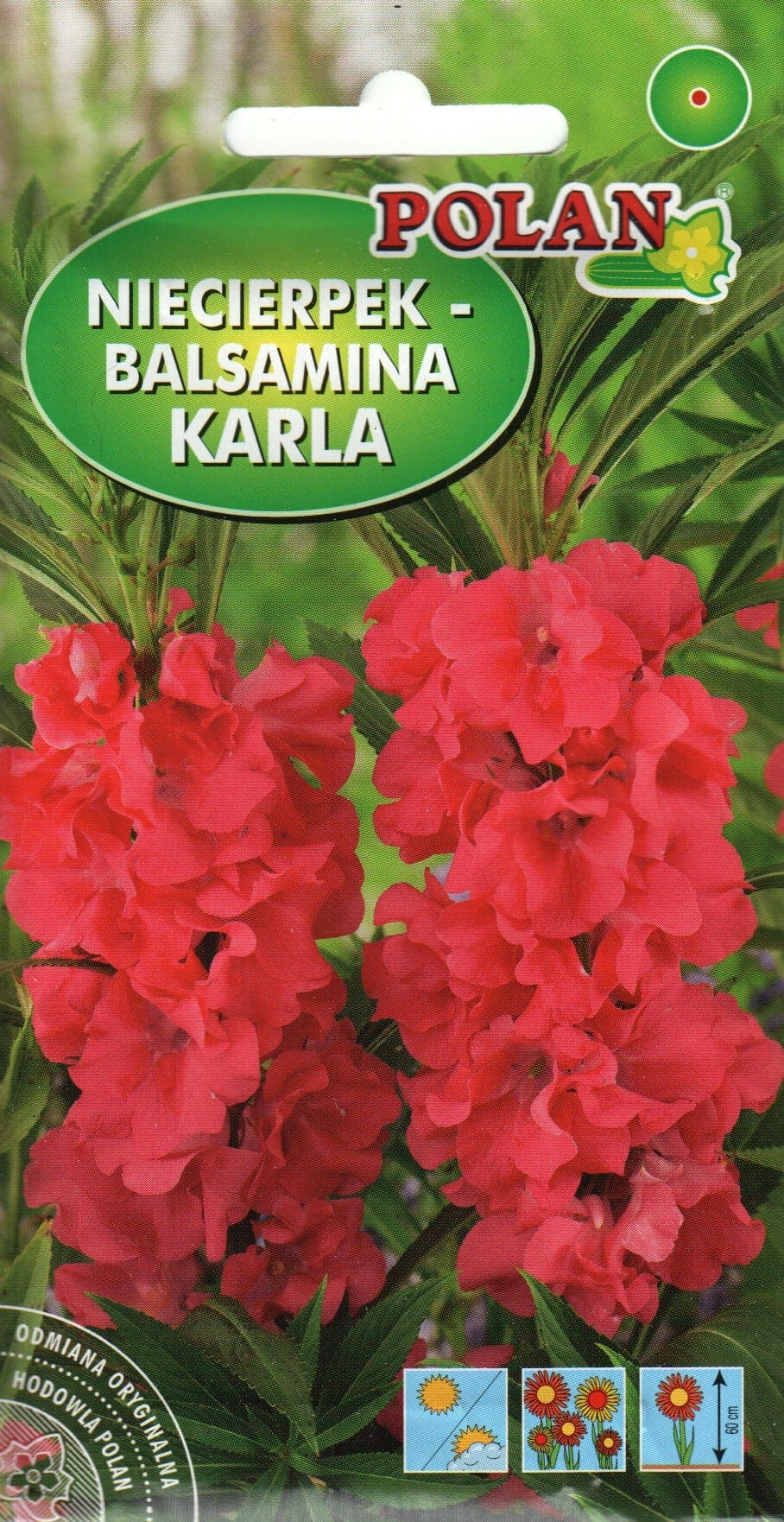 Aed-balsamiin "Karla"