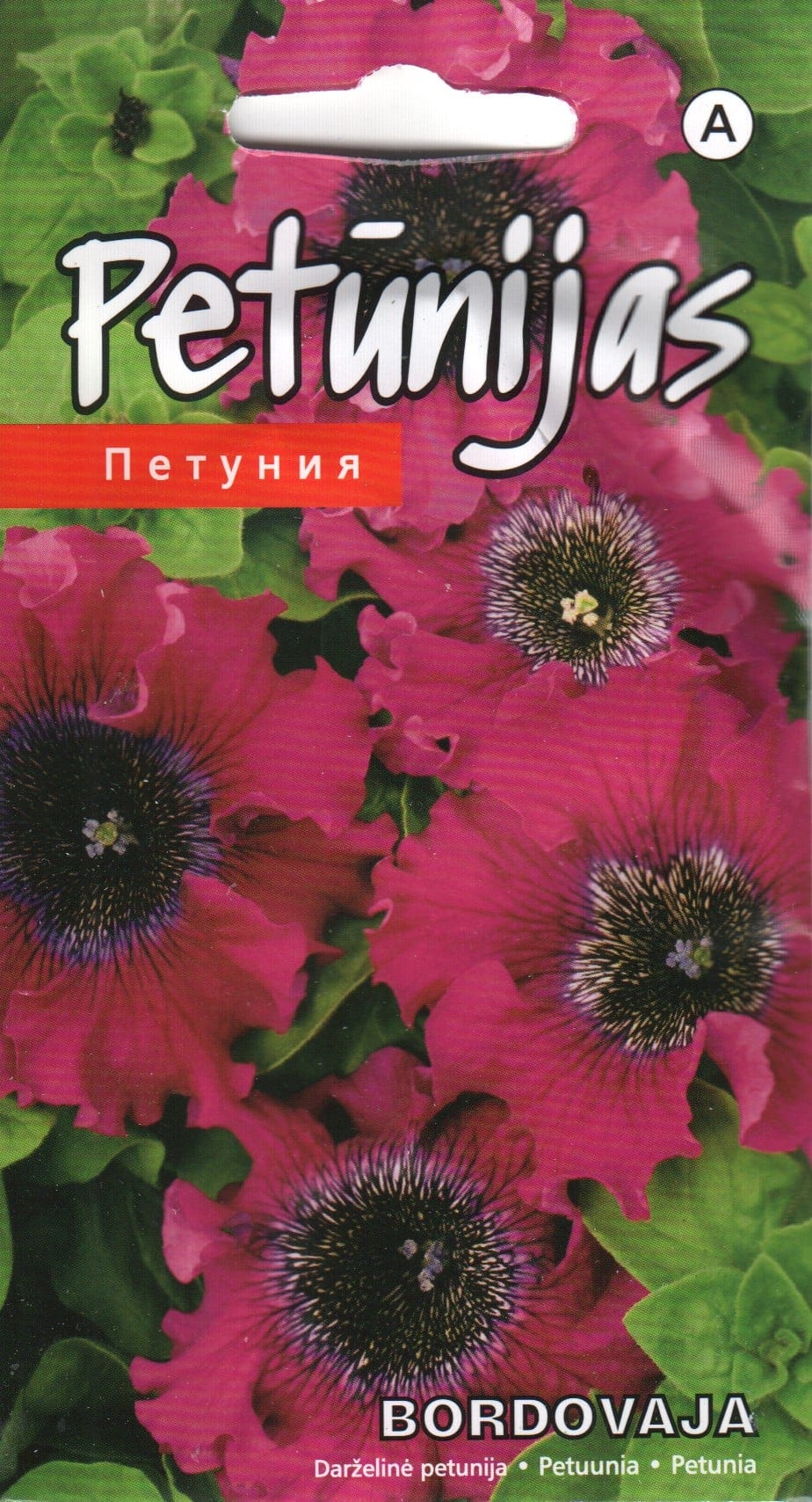Petuunia "Bordovaja"