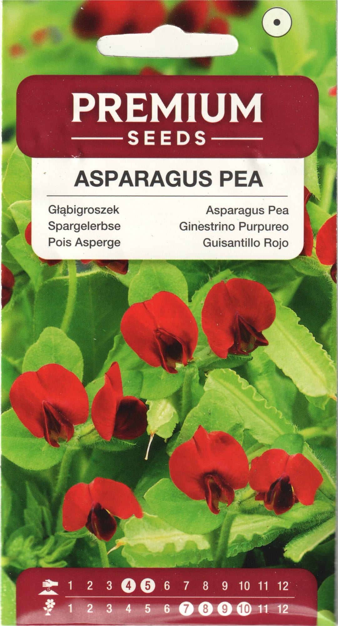 Purpur-asparhernes