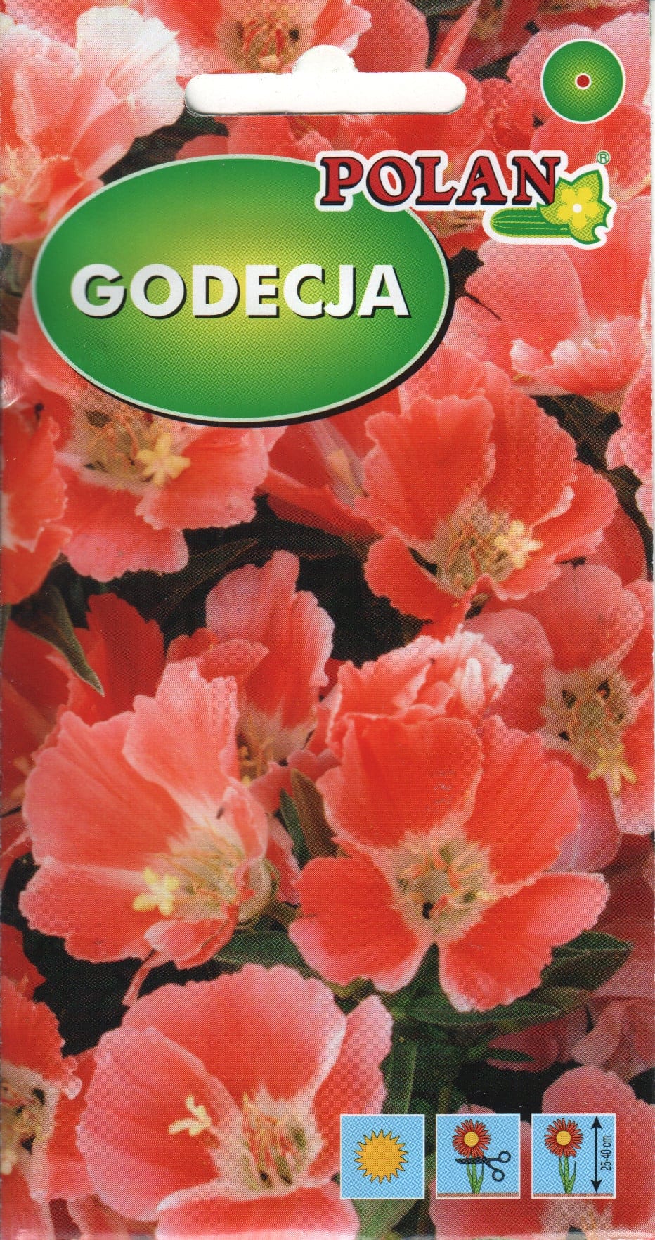 Suureõieline sametlill "Orange Glory"