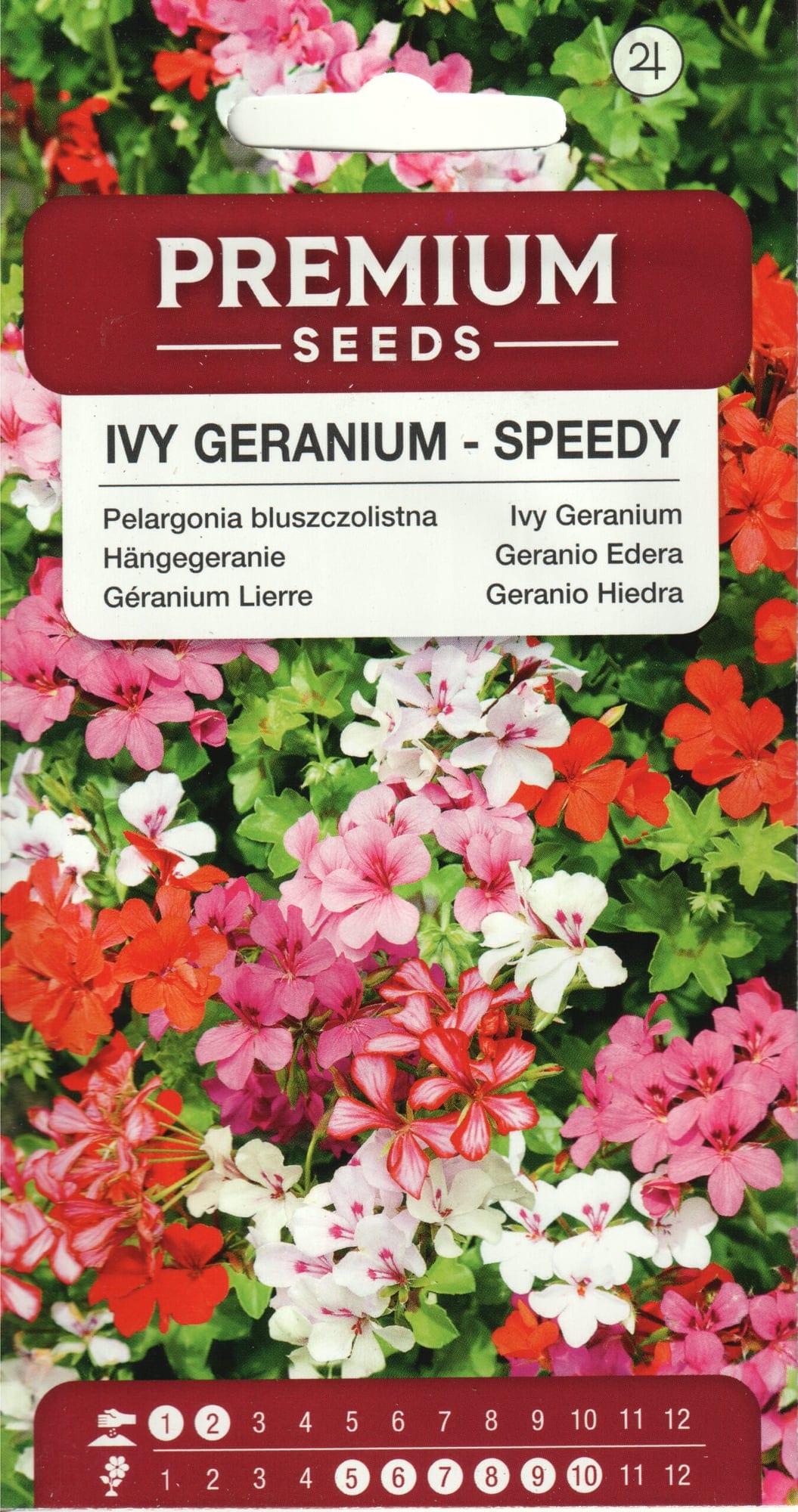 Luuderohulehine pelargoon "Speedy Mix"