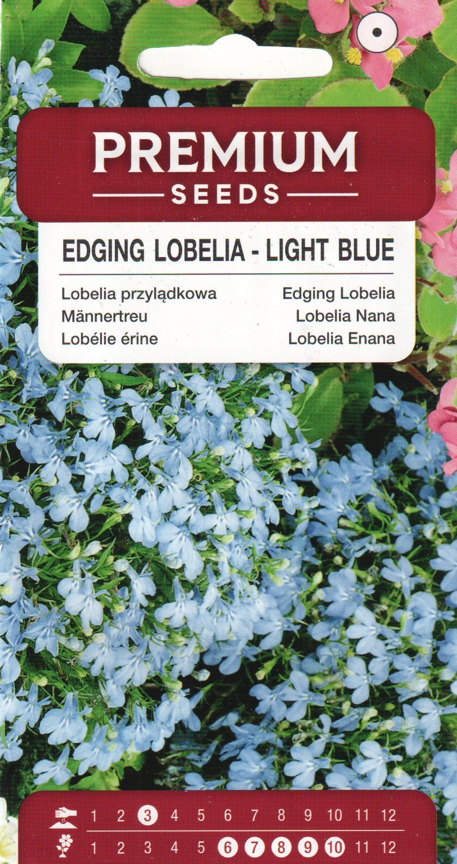 Sinilobeelia "Light Blue"