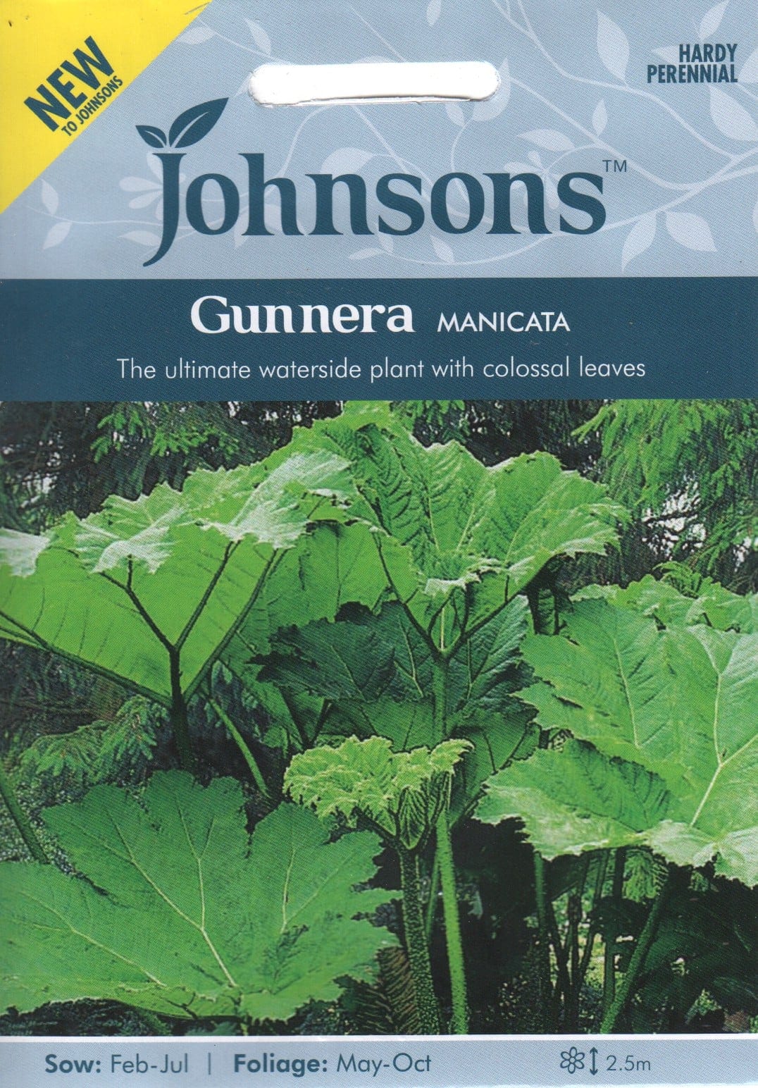 Brasiilia gunnera