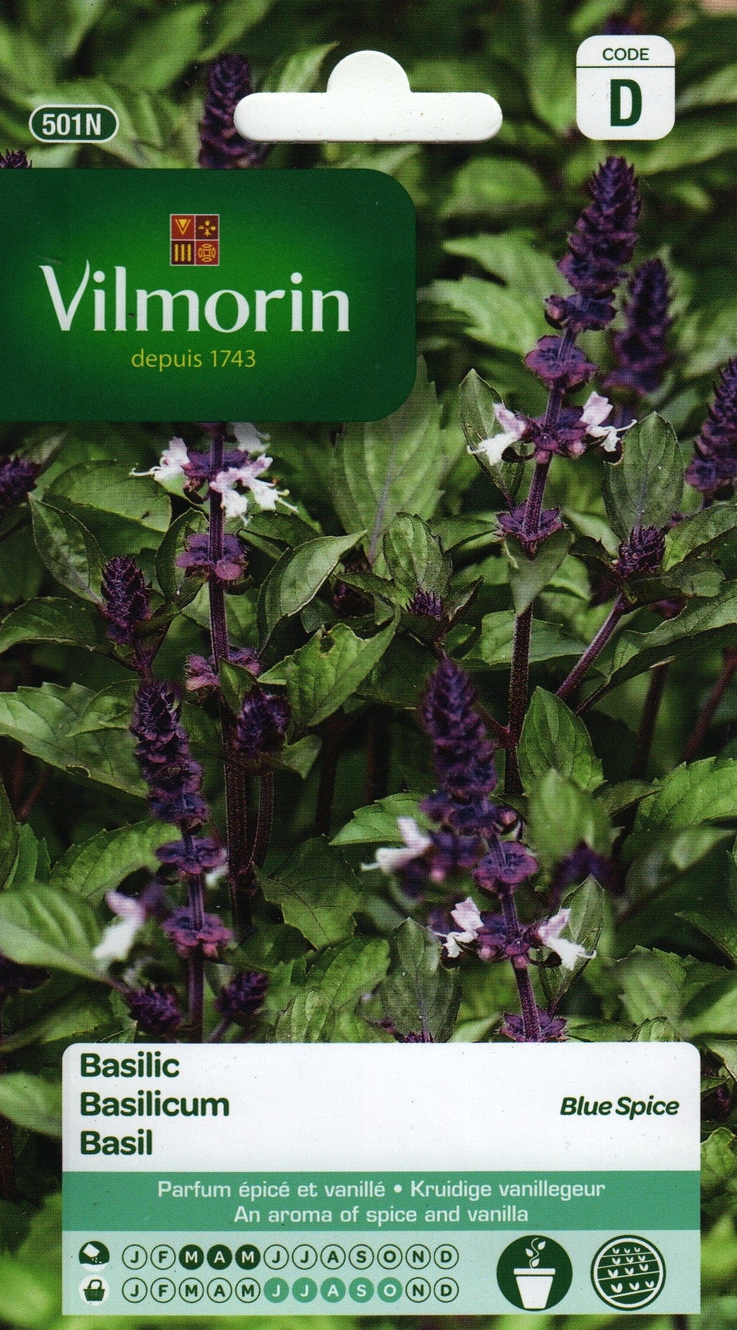 Ameerika basiilik "Blue Spice"
