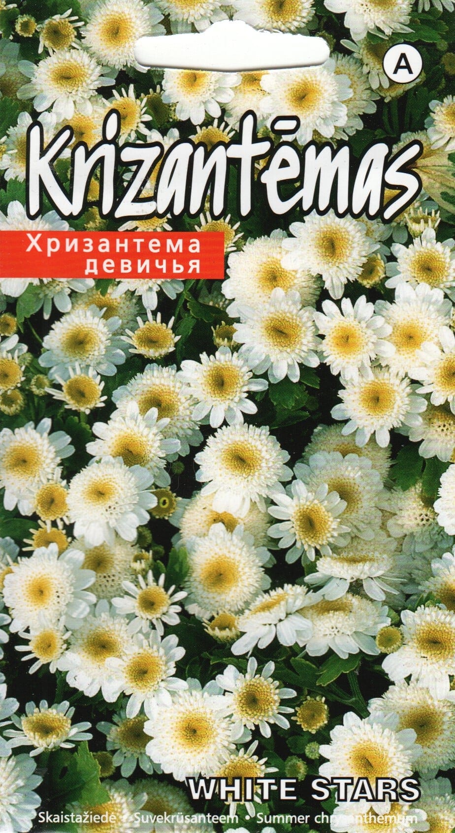 Lõhnav neitsikummel "White Stars"