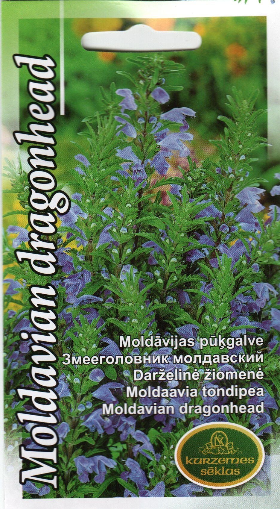 Moldaavia tondipea