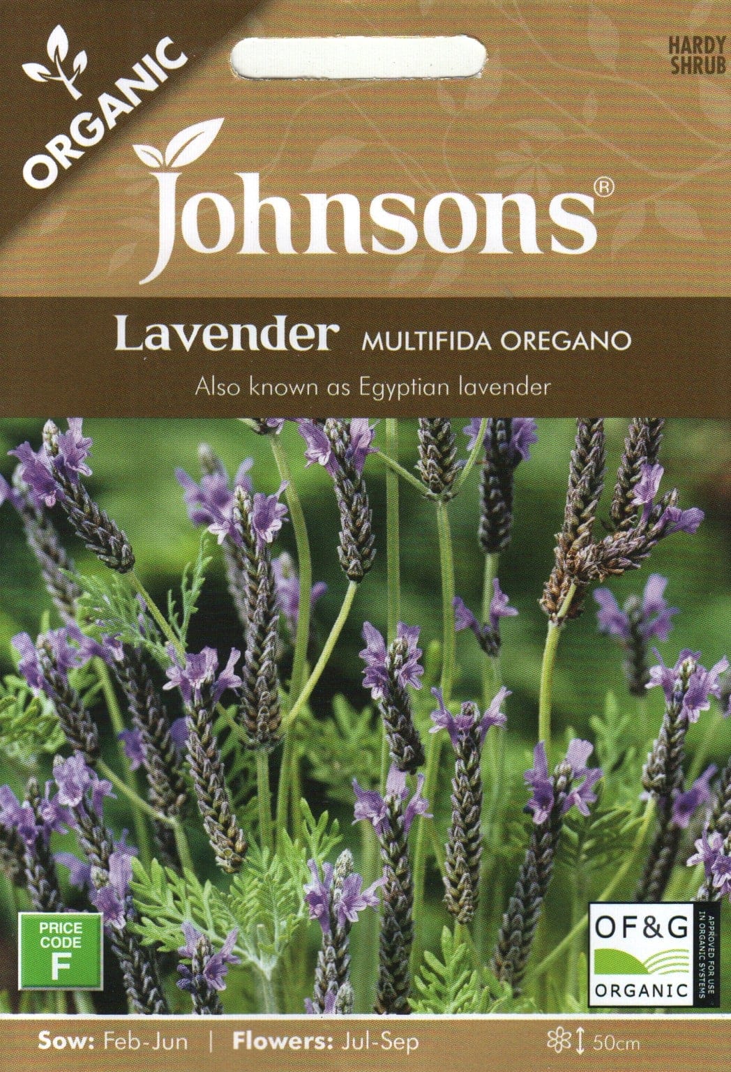 Lõhislehine lavendel - egiptuse lavendel