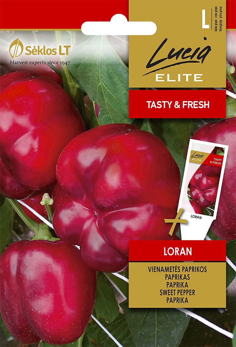 Paprika "Loran"