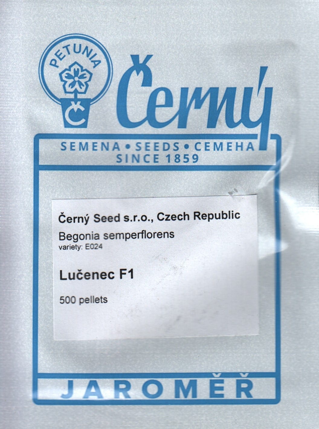 Alatiõitsev begoonia  "Lucenec"