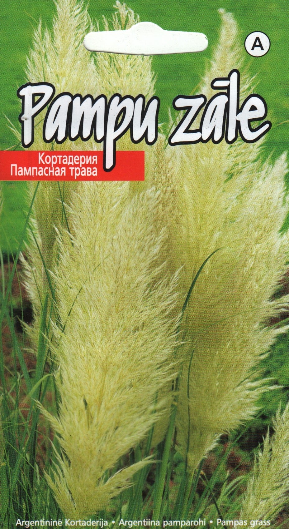 Argentiina pamparohi valge