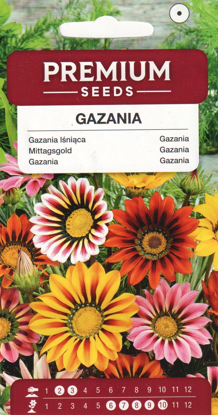 Särav gasaania segu