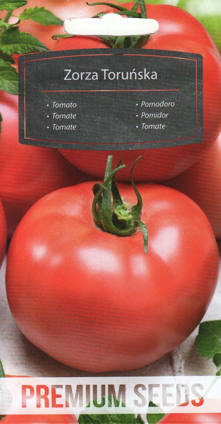 Tomat "Zorza Torunska"