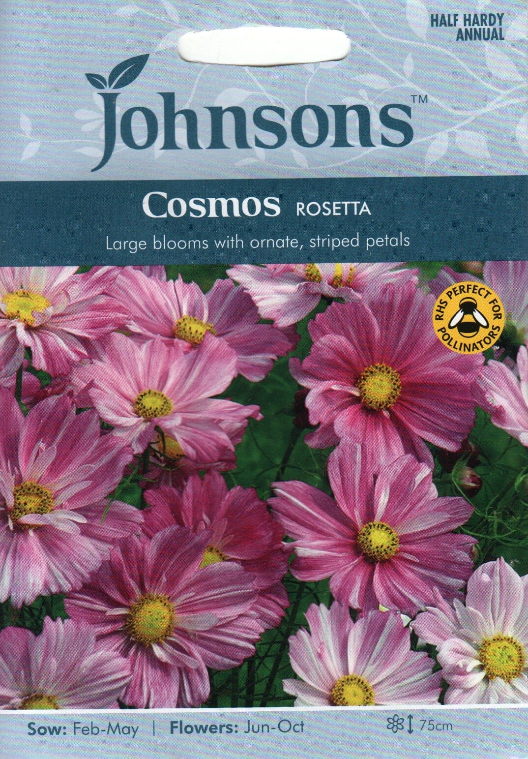Kosmos "Rosetta"
