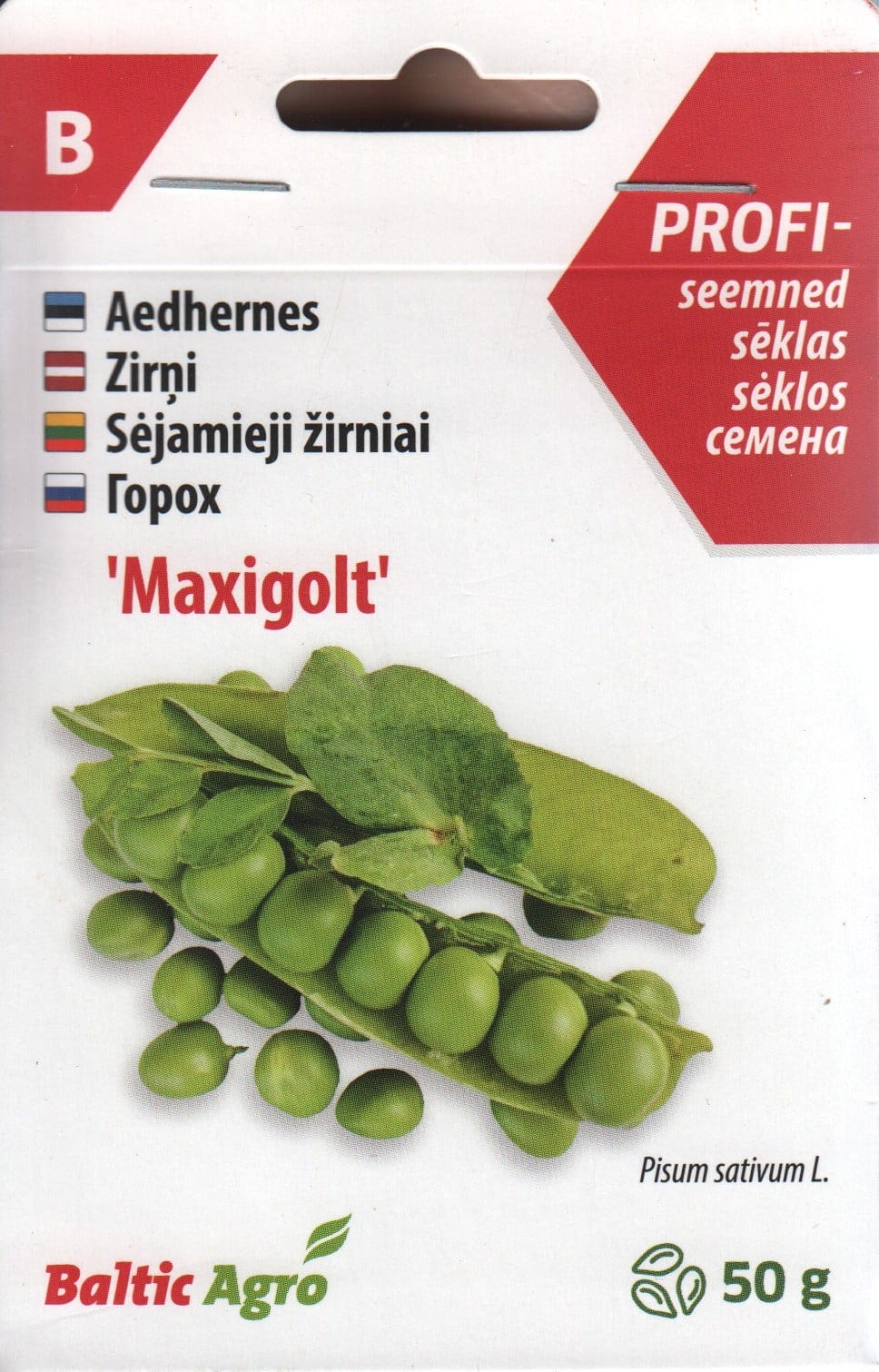 Aedhernes "Maxicolt" / "Maxigolt"