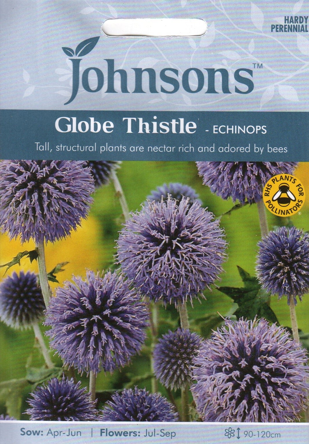 Sinine mesiohakas "Globe Thistle"