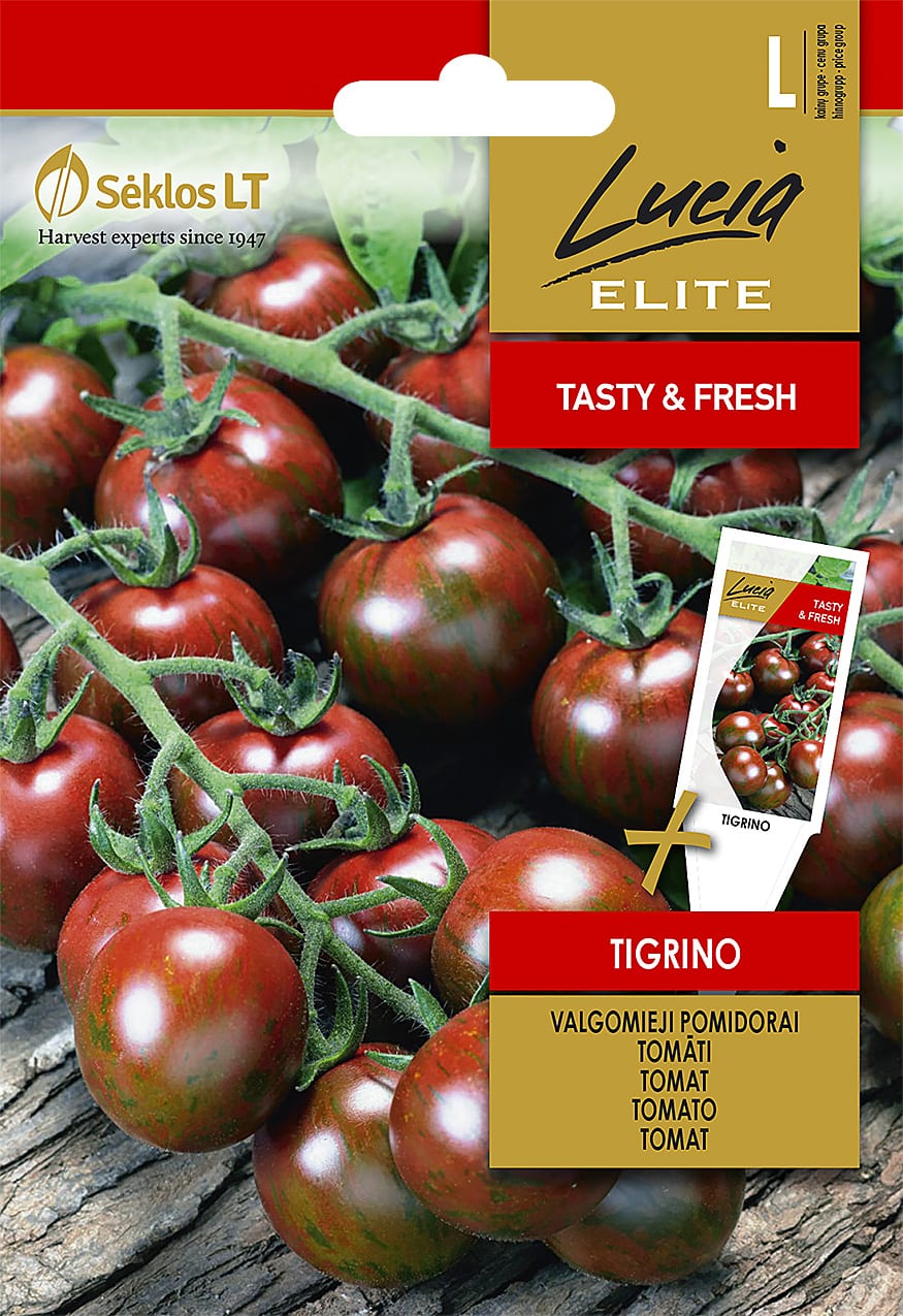 Tomat "Tigrino"