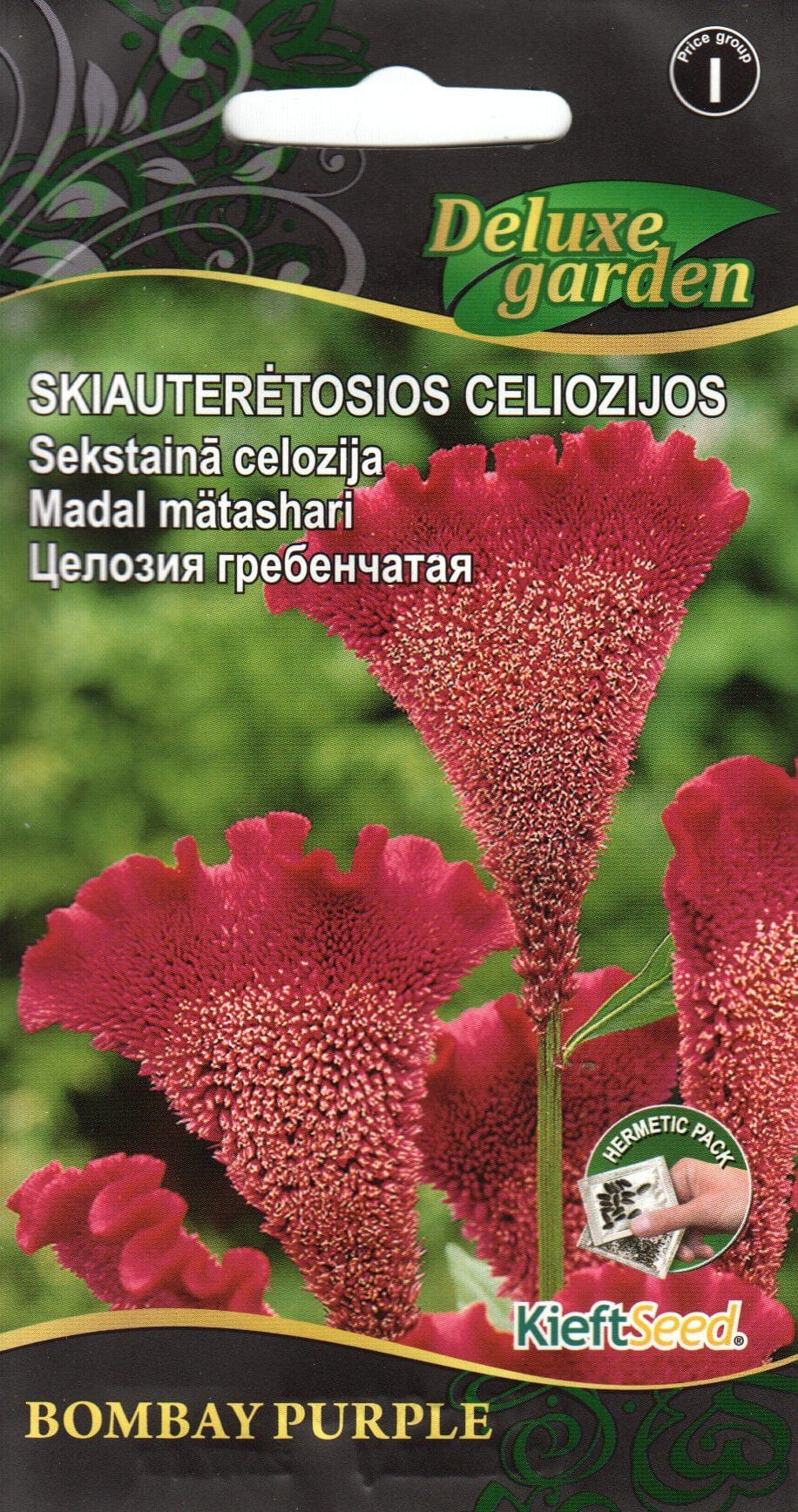 Mätashari "Bombay Purple"