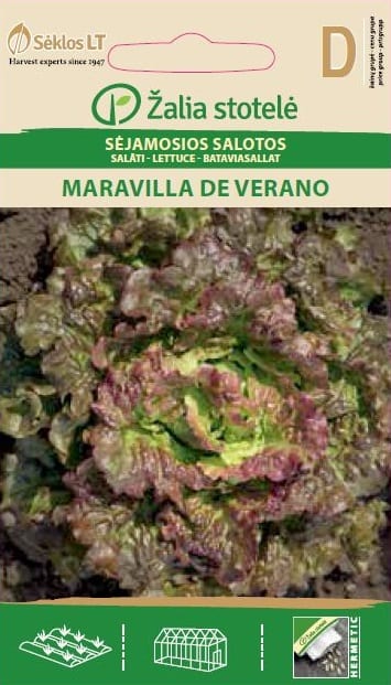 Peasalat "Maravilla de Verano"