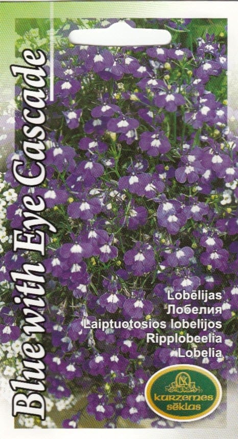 Ripp-lobeelia "Blue with Eye Cascade"