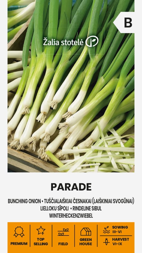 Salatisibul "Parade"