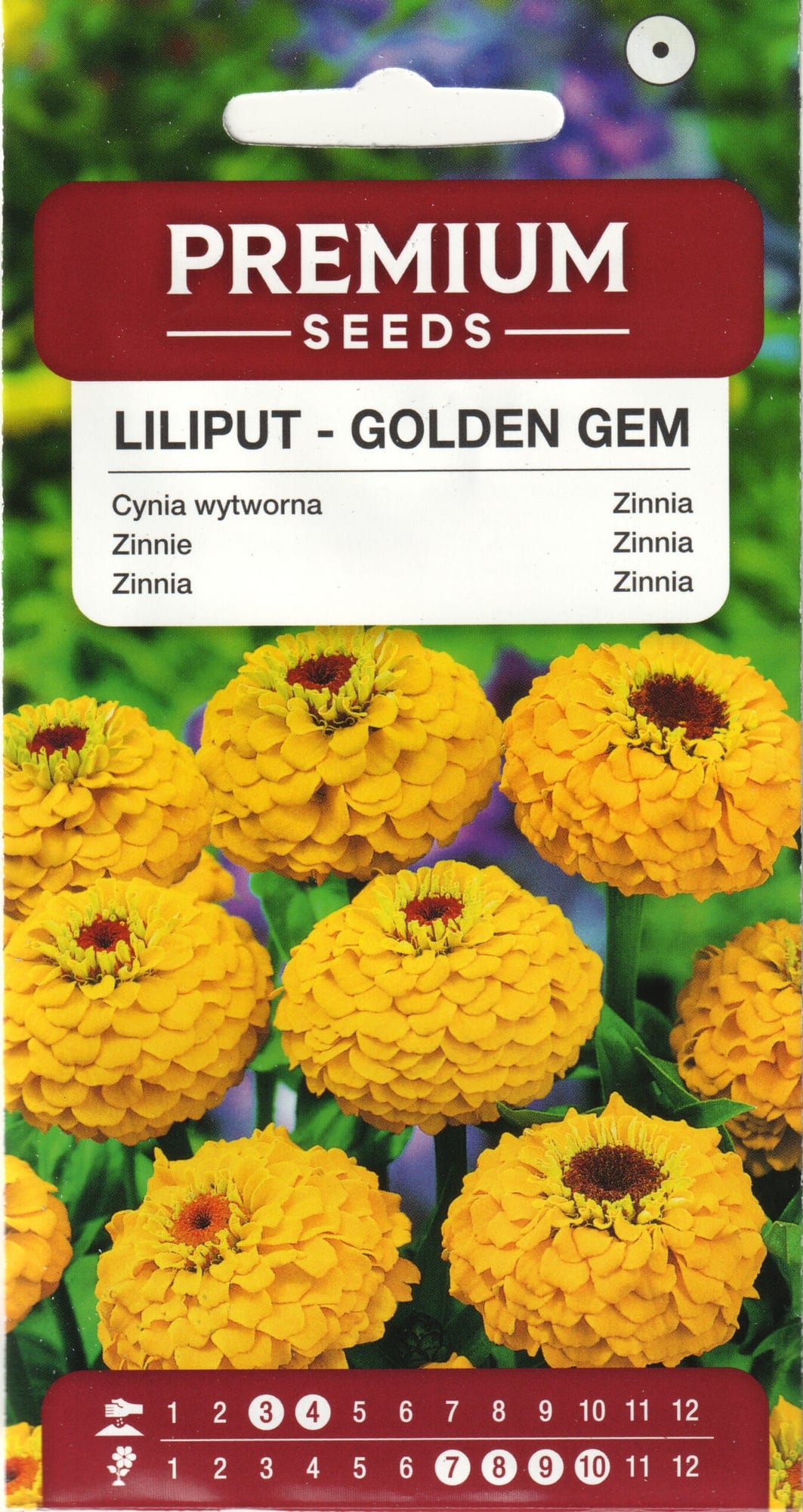 Harilik pruudisõlg “Liliput Golden Gem”