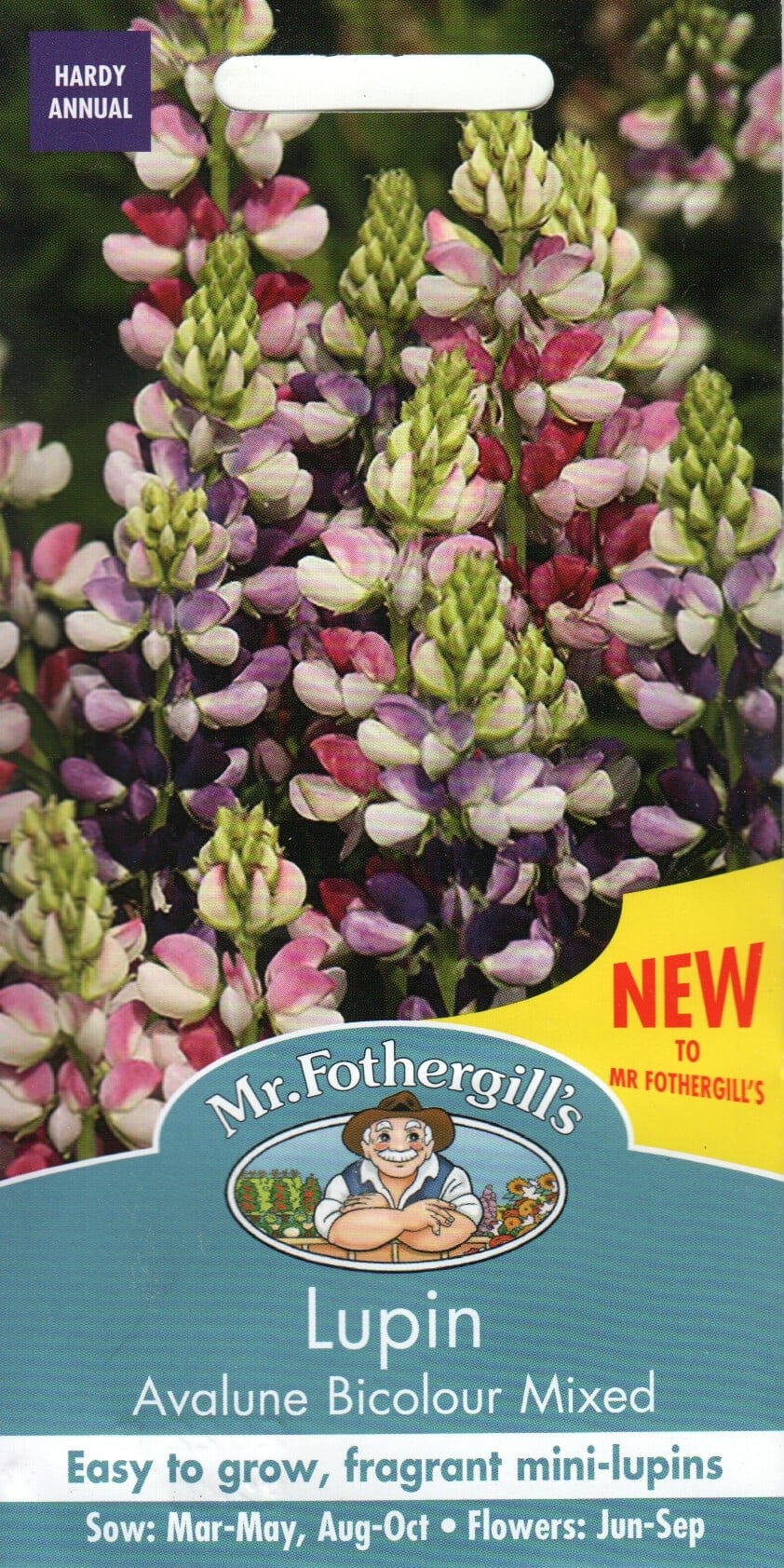 Madal lupiin - suvelupiin "Avalune Bicolour Mixed"