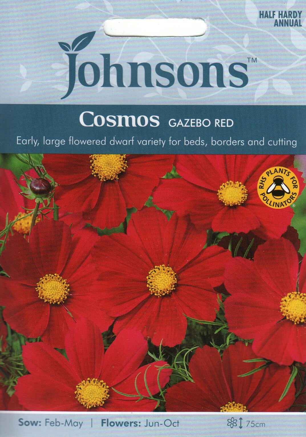 Kosmos "Gazebo Red"