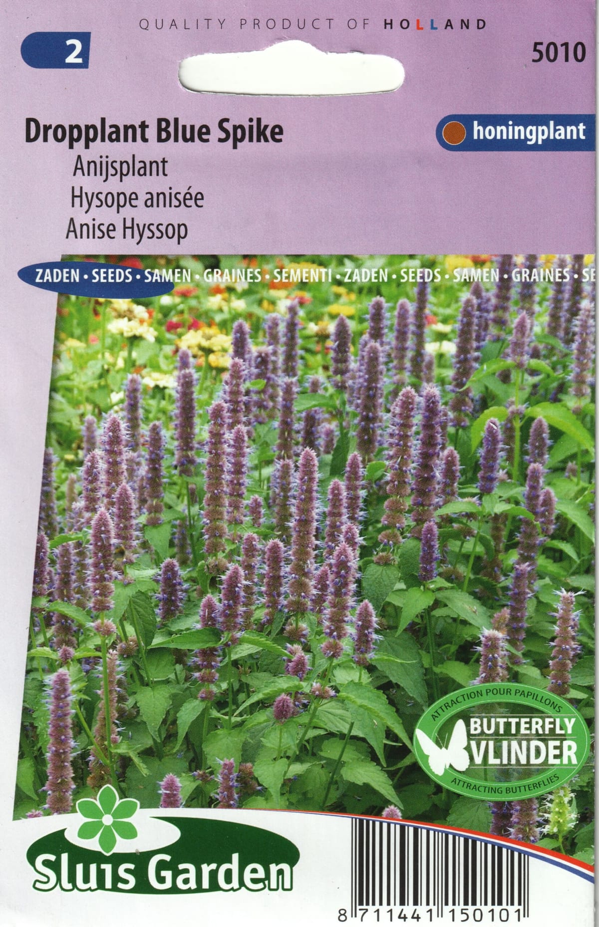 Aniisi-hiidiisop "Blue Spike"