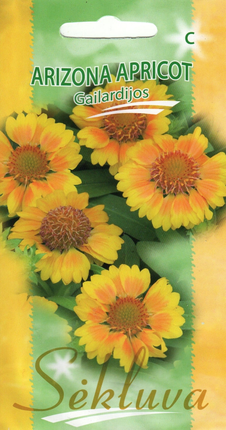 Suureõieline mõrsjalill "Arizona Apricot"