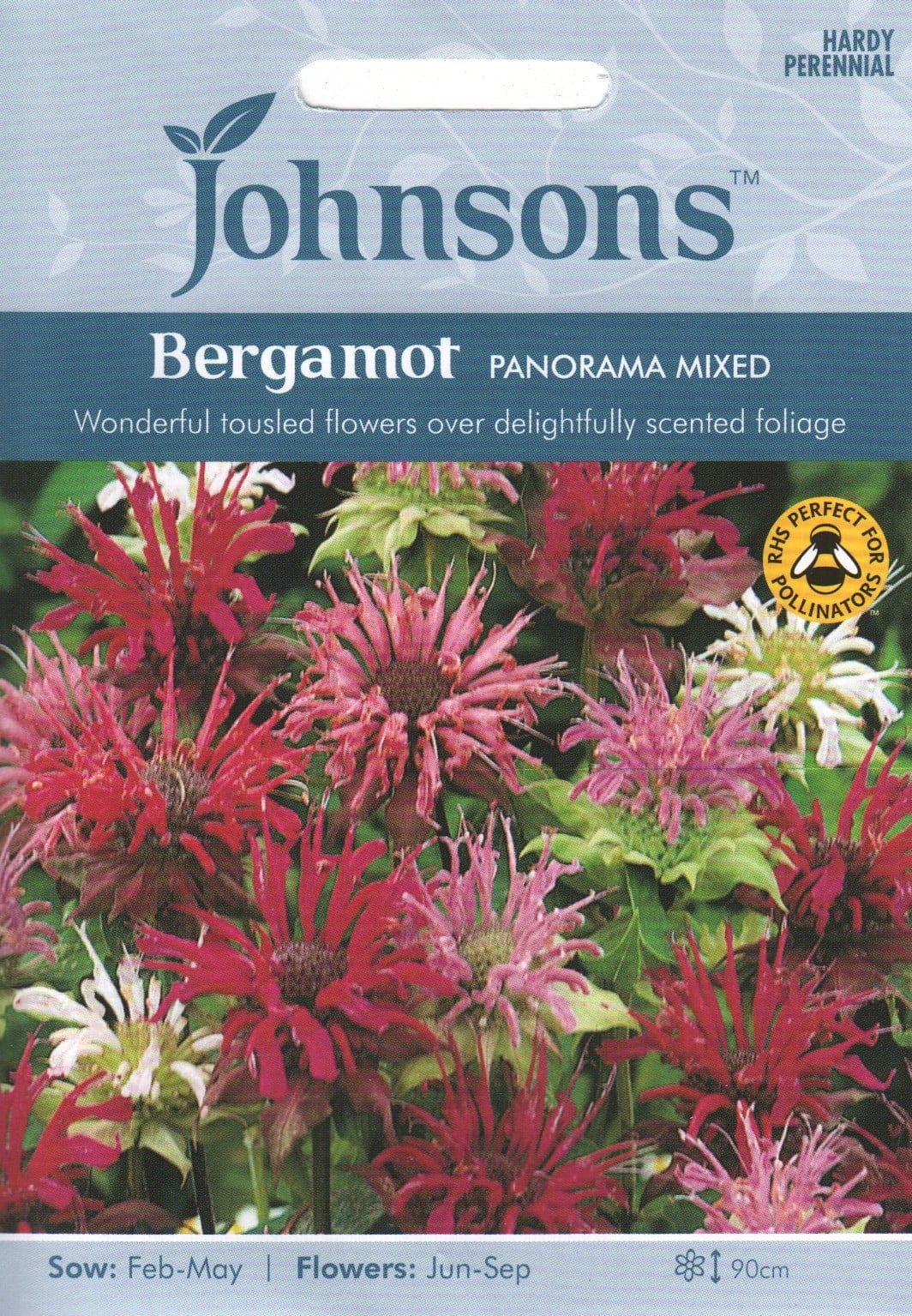Aedmonarda "Panorama Mixed"