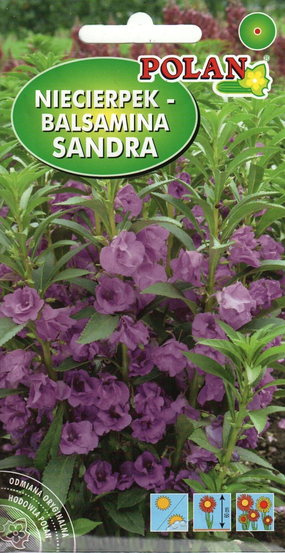 Aed-balsamiin "Sandra"