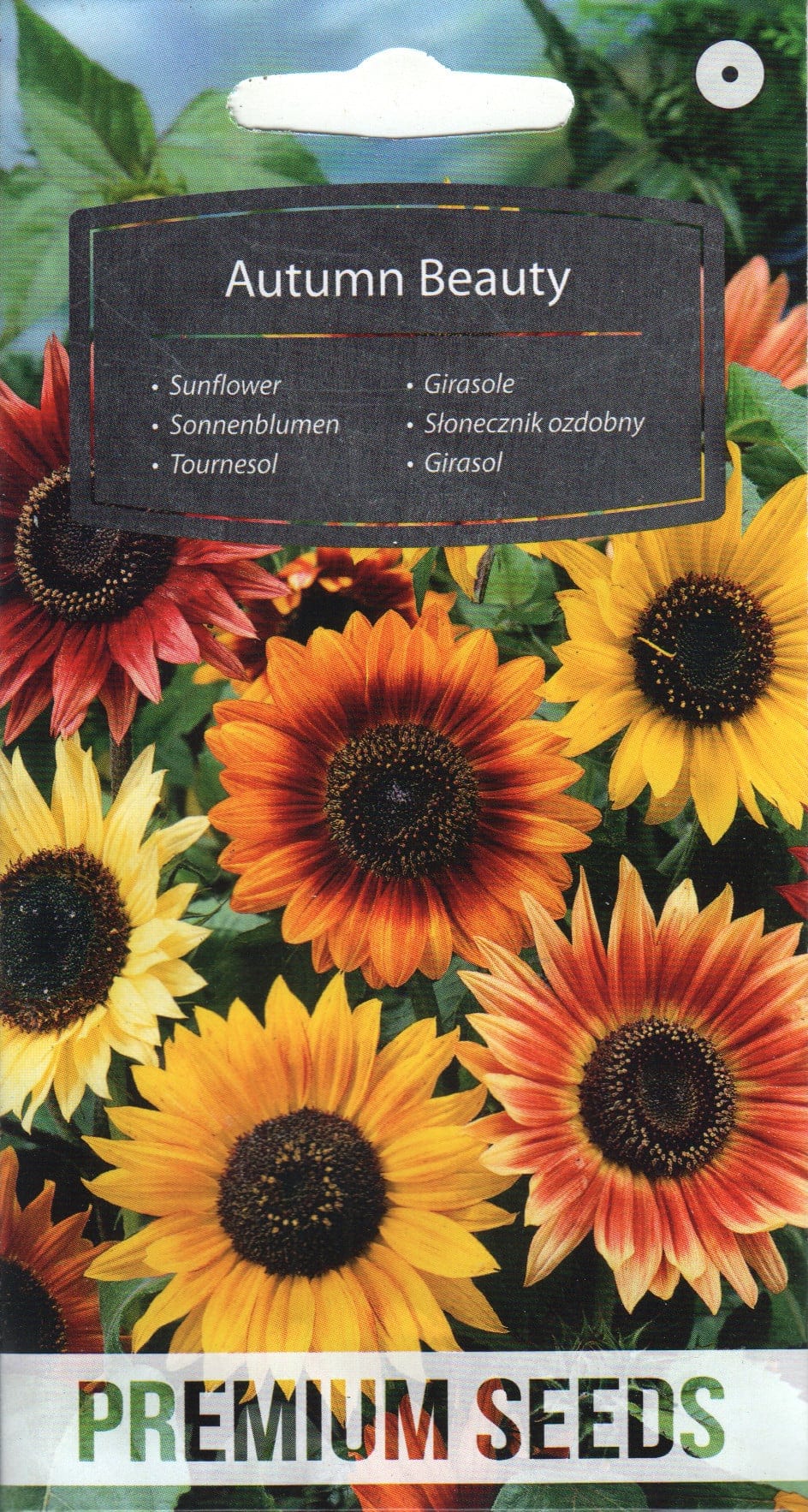 Päevalill "Autumn Beauty"