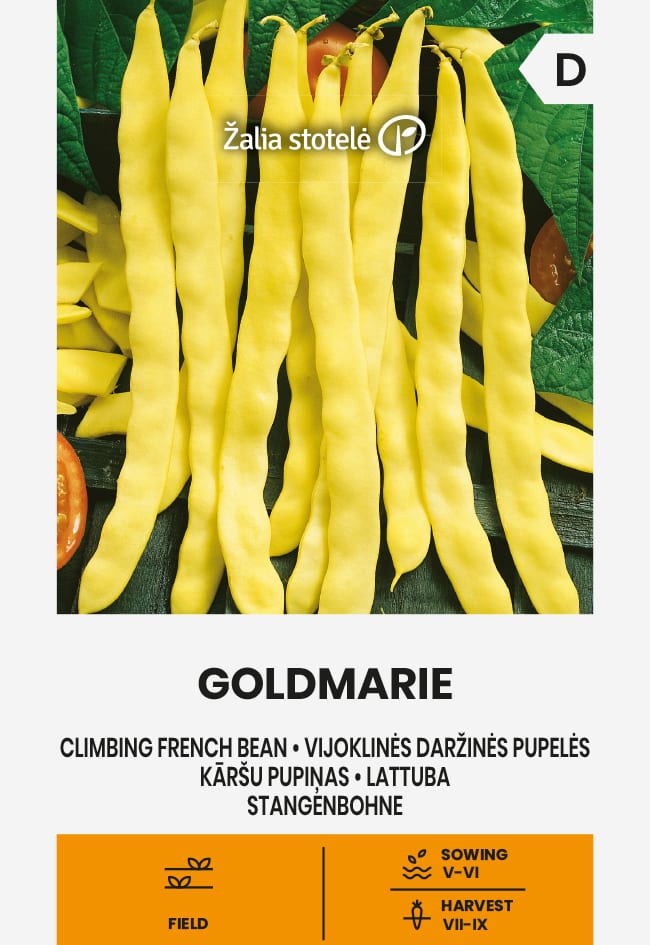 Lattuba "Goldmarie"