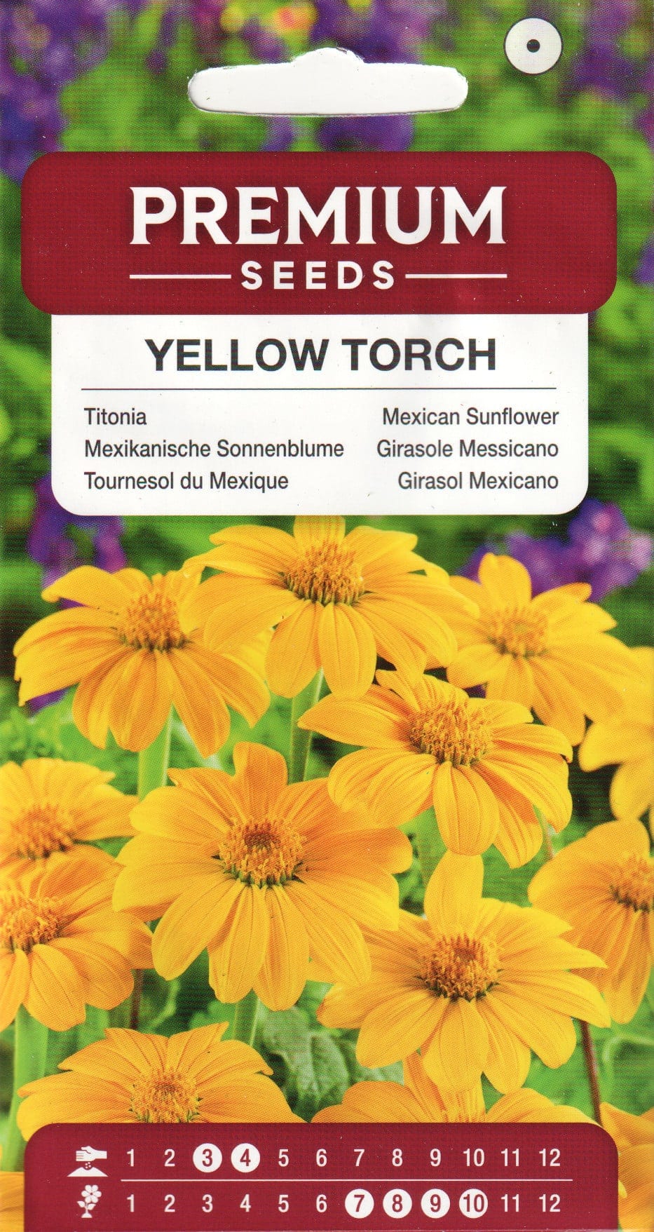 Ümaralehine titoonia "Yellow Torch"