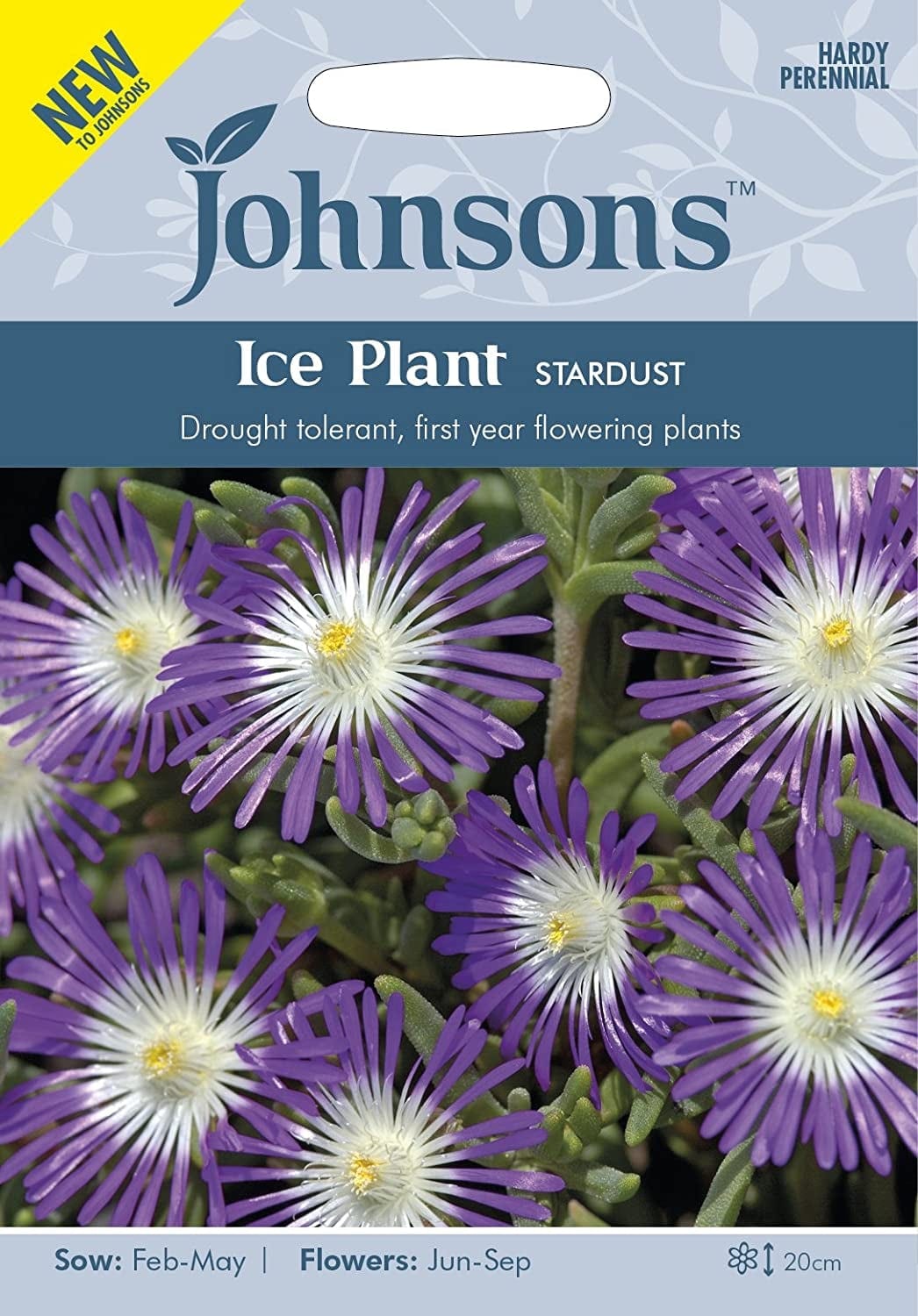 Maukleht ehk jäälill "Stardust"