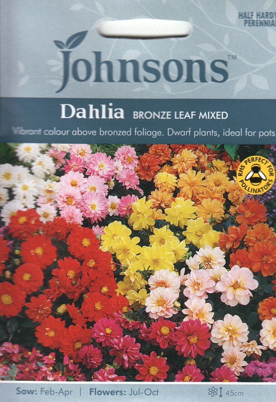 Aed-daalia tumedaleheline "Bronze Leaf Mixed"