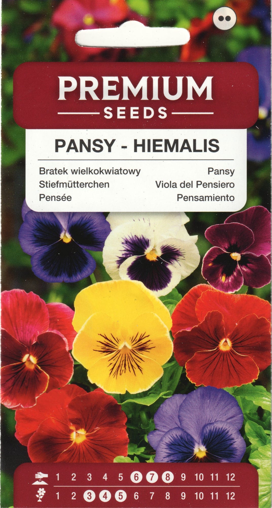 Võõrasema "Hiemalis"