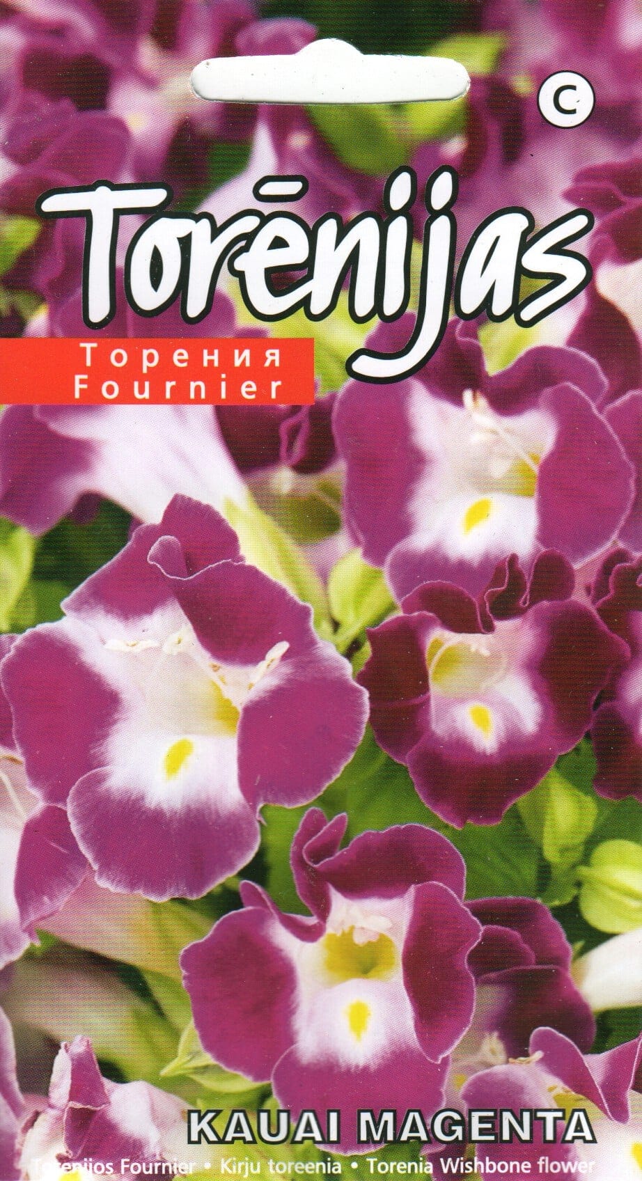 Kirju toreenia "Kauai Magenta"