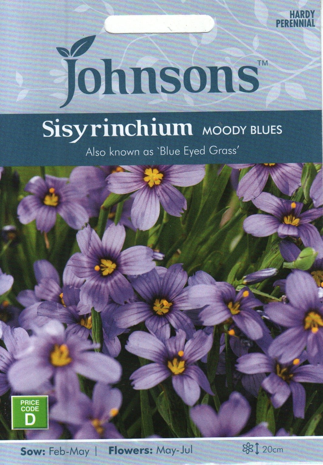 Idaho sininokk "Moody Blues"