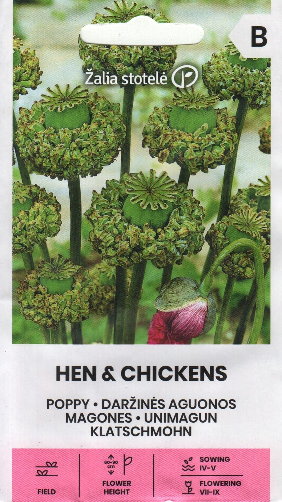 Unimagun "Hen & Chickens"