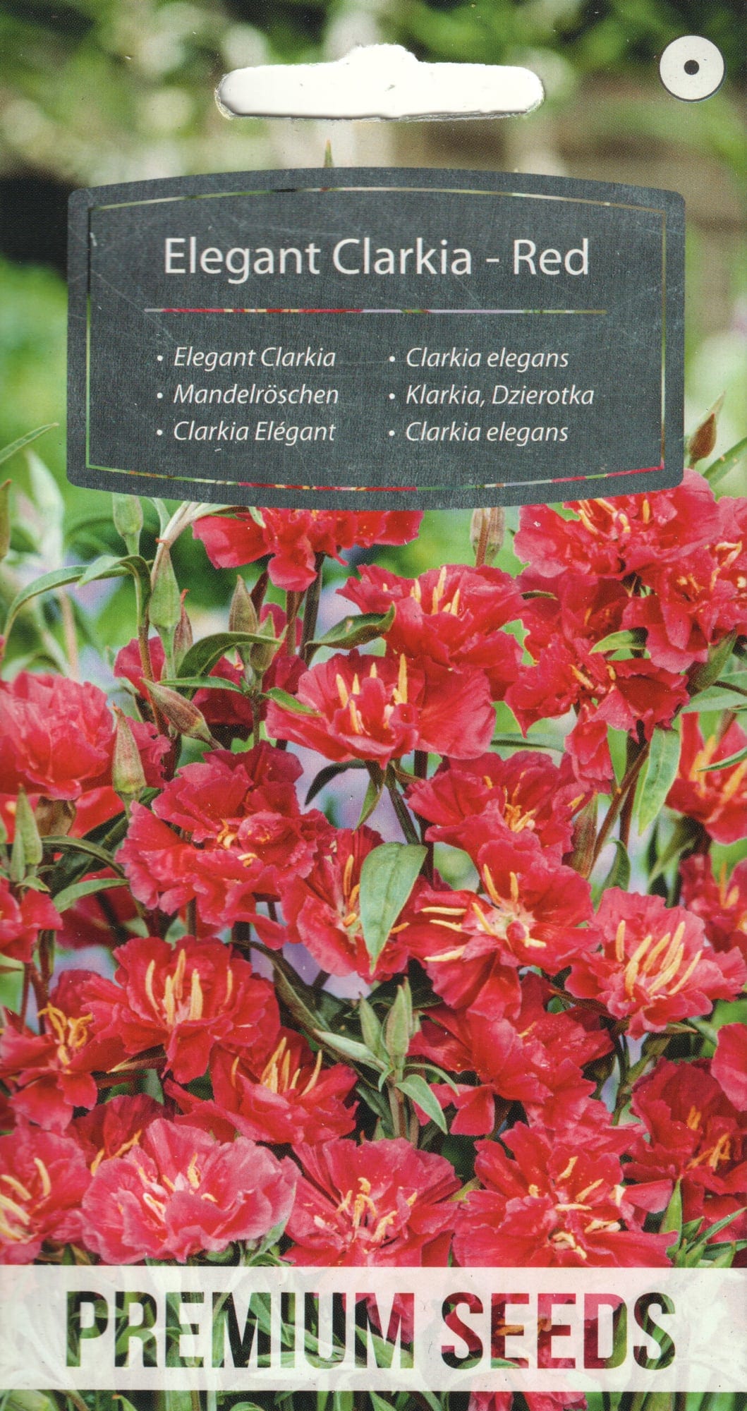 Elegantne klarkia "Red"